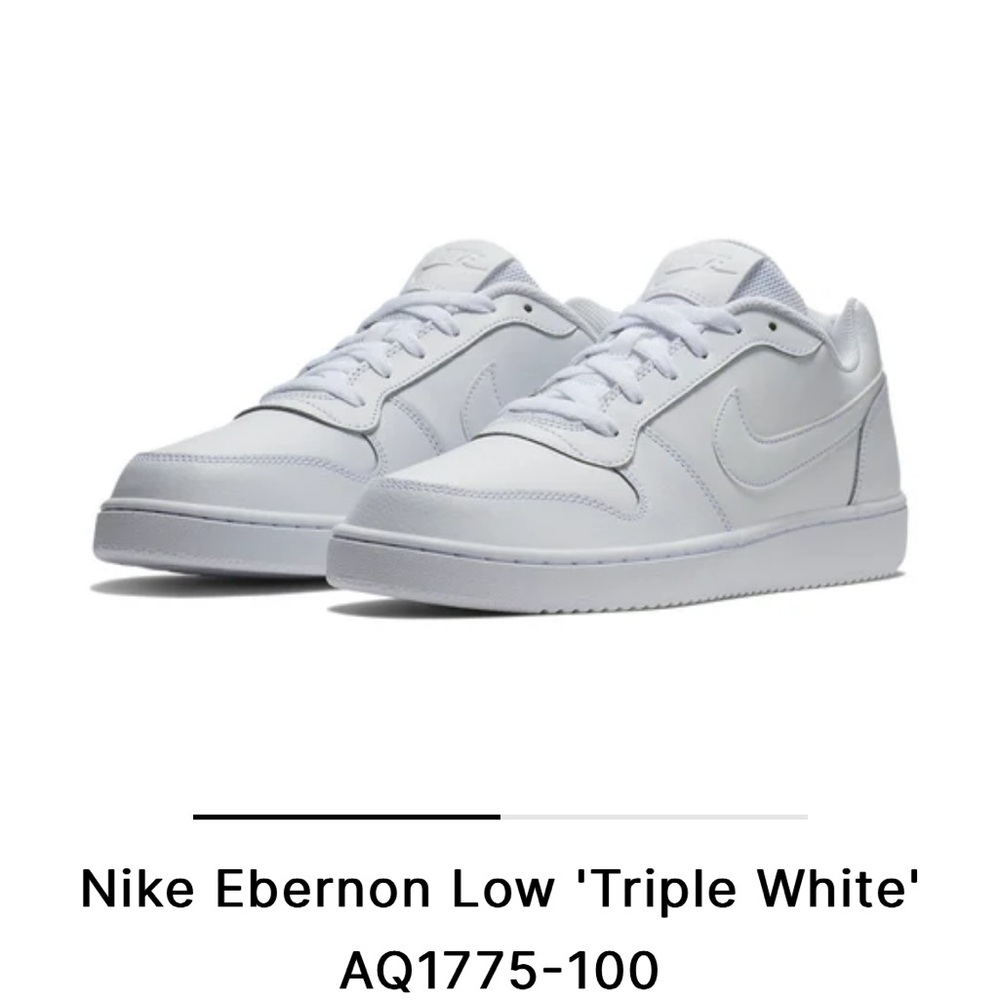 EUC Men’s Nike Ebernon Low